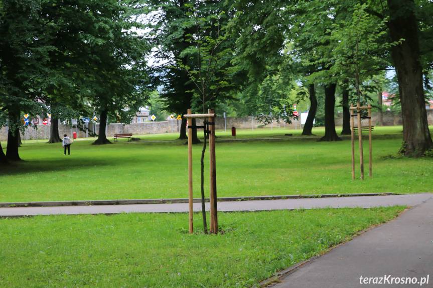 Gmina Rymanów. Historia zaklęta w koronach drzew