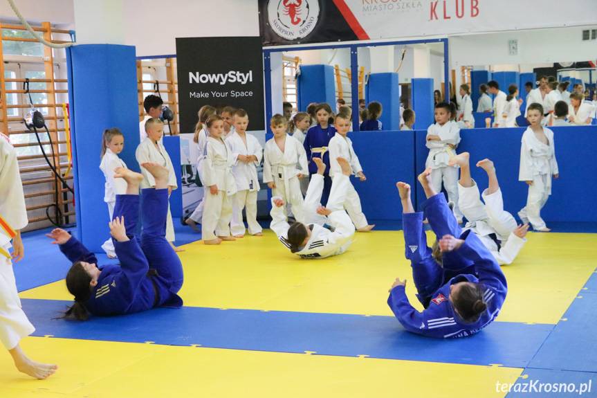 Nowy Styl wspomógł Skorpion Judo Krosno
